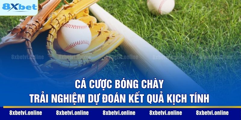 Cá Cược Bóng Chày - Trải Nghiệm Dự Đoán Kết Quả Kịch Tính