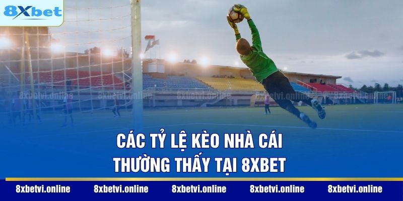 Các tỷ lệ kèo nhà cái thường thấy nhất tại 8XBET