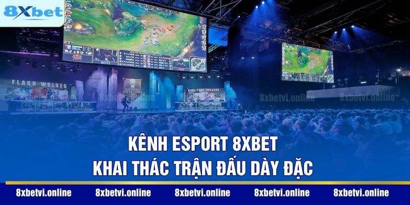 Kênh Esport 8XBET khai thác trận đấu dày đặc