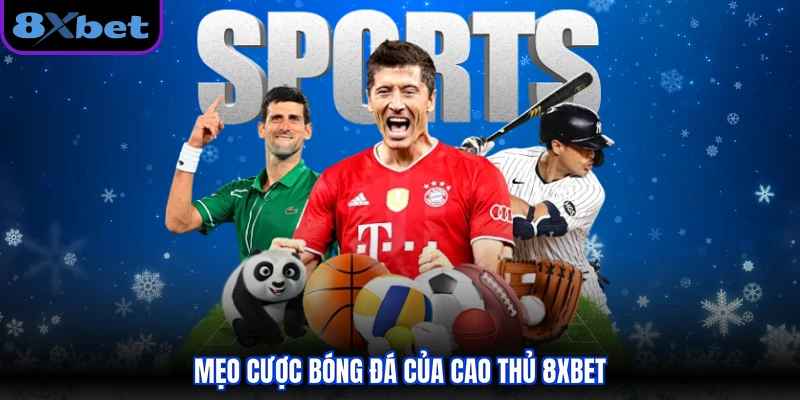 Mẹo cược bóng đá của cao thủ 8XBET
