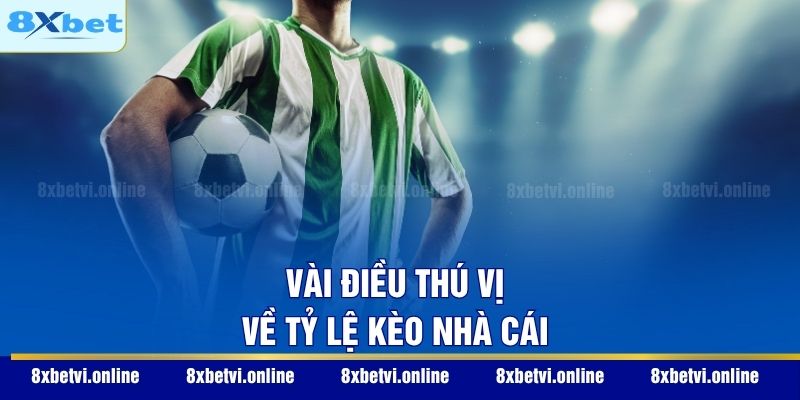 Vài điều thú vị về tỷ lệ kèo nhà cái